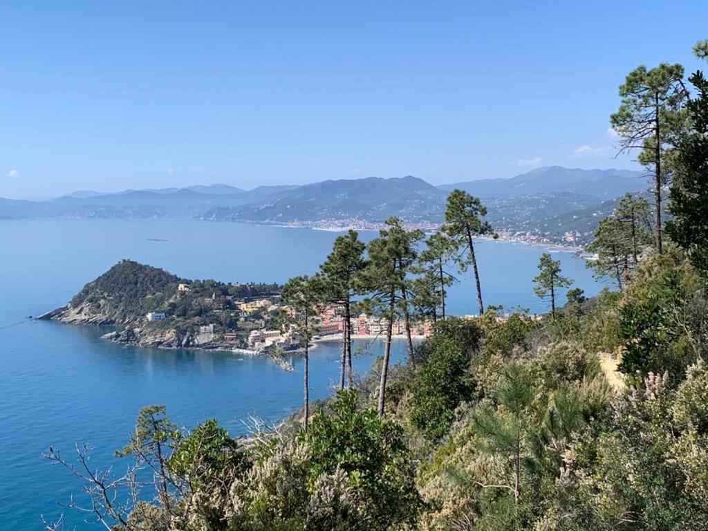 La Pergola Dei Paggi Villa Sestri Levante Bagian luar foto