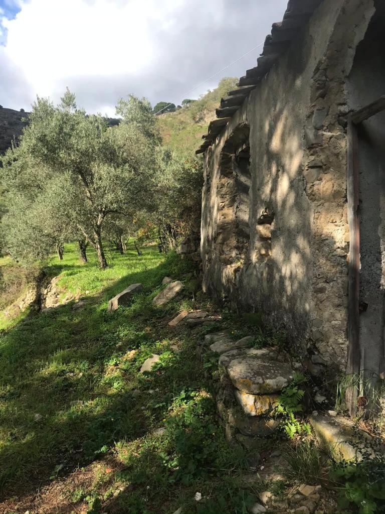 La Pergola Dei Paggi Villa Sestri Levante Bagian luar foto